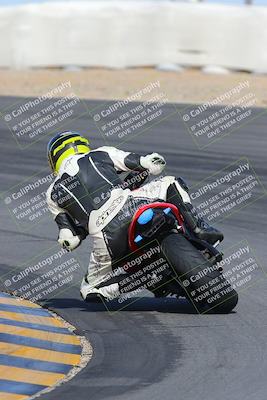 media/Feb-04-2023-SoCal Trackdays (Sat) [[8a776bf2c3]]/Turn 10 Backside (1010am)/